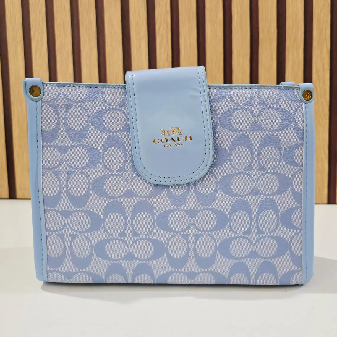 BOLSA COACH CON COLGANTE, CORREA Y CADENA MOD #115 6