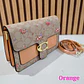 CROSS BODY COACH (BROCHE C) MOD# YDBL089 - Miniatura 3