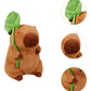 PELUCHE CAPIBARA CON FRAZADA #330 O #019 - Miniatura 18