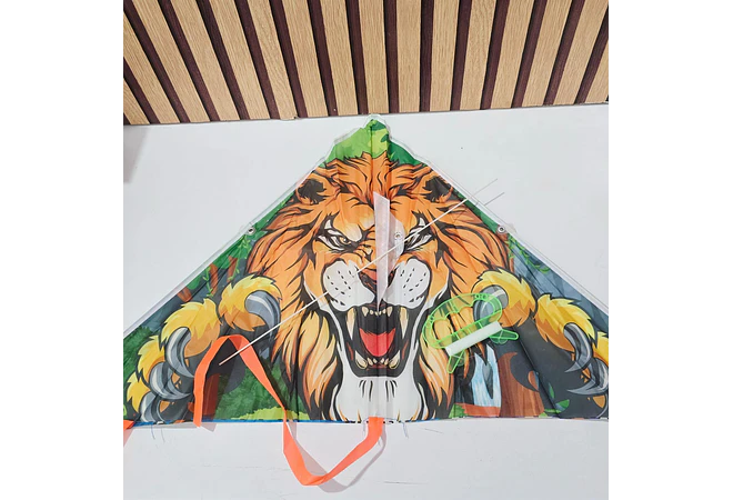 PAPALOTE DIFERENTES TAMAÑOS MOD# FZ-24, 19, O 23  🪁