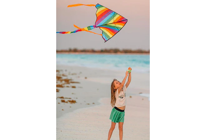 PAPALOTE DIFERENTES TAMAÑOS MOD# FZ-24, 19, O 23  🪁