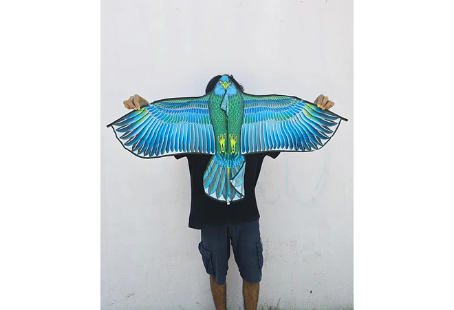 PAPALOTE DIFERENTES TAMAÑOS MOD# FZ-24, 19, O 23  🪁