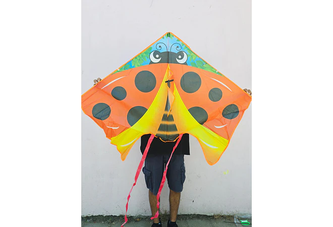 PAPALOTE DIFERENTES TAMAÑOS MOD# FZ-24, 19, O 23  🪁