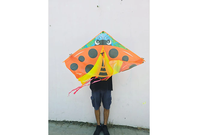 PAPALOTE DIFERENTES TAMAÑOS MOD# FZ-24, 19, O 23  🪁