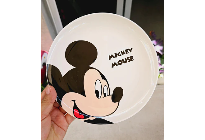 PLATO INFANTIL DE MELAMINA DISEÑO PERSONAJES MOD# ADA079-13/I🍮🍝