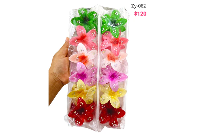 PINZAS VARIOS MODELOS HAWAINAS, LISAS Y FLOR 🌻🌼