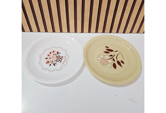 PLATO DE PLÁSTICO ECONÓMICO VIKZO