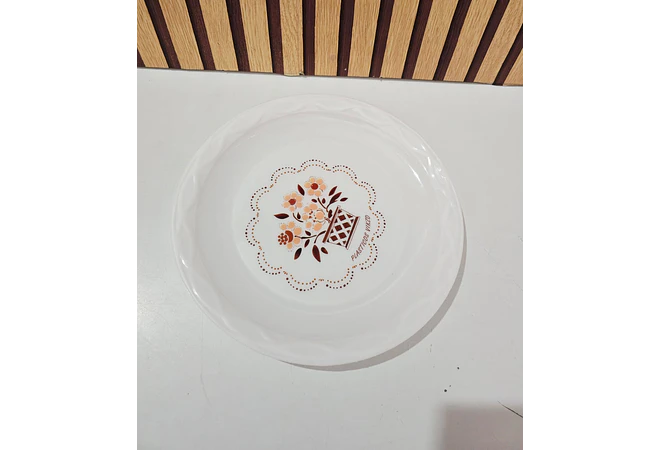 PLATO DE PLÁSTICO ECONÓMICO VIKZO