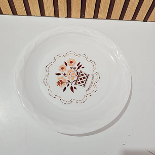 PLATO DE PLÁSTICO ECONÓMICO VIKZO