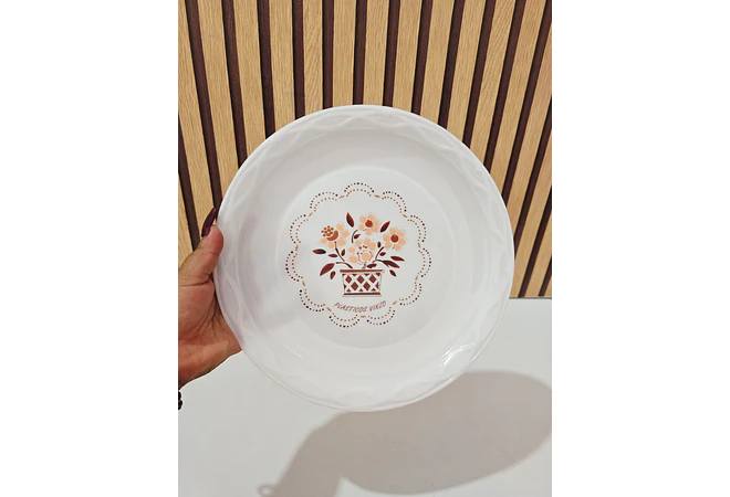 PLATO DE PLÁSTICO ECONÓMICO VIKZO