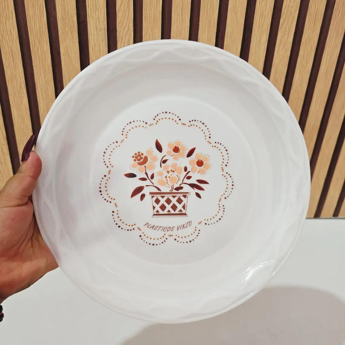 PLATO DE PLÁSTICO ECONÓMICO VIKZO 3