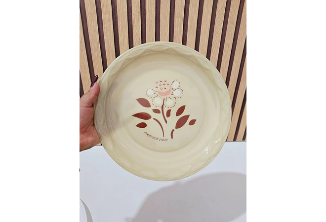 PLATO DE PLÁSTICO ECONÓMICO VIKZO