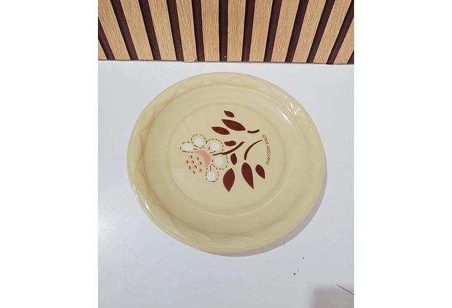 PLATO DE PLÁSTICO ECONÓMICO VIKZO