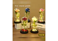 CUPULA DE PLÁSTICO/ROSA ETERNA CON LUZ LED MOD# 7001 🌹