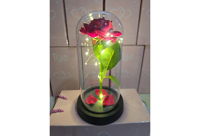 CUPULA DE PLÁSTICO/ROSA ETERNA CON LUZ LED MOD# 7001 🌹