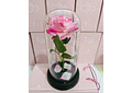CUPULA DE PLÁSTICO/ROSA ETERNA CON LUZ LED MOD# 7001 🌹