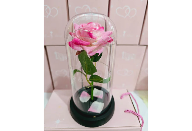 CUPULA DE PLÁSTICO/ROSA ETERNA CON LUZ LED MOD# 7001 🌹