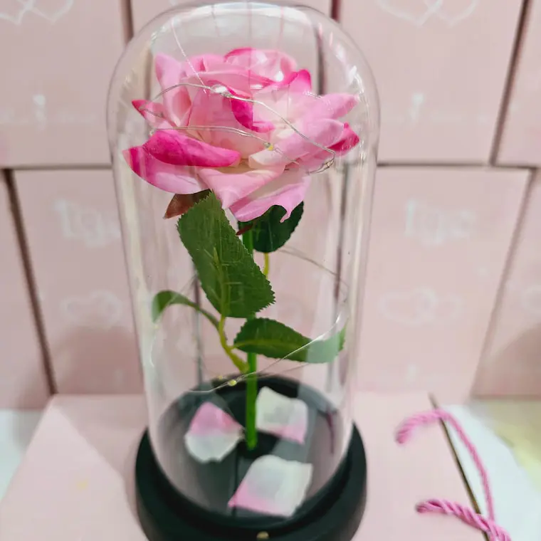 CUPULA DE PLÁSTICO/ROSA ETERNA CON LUZ LED MOD# 7001 🌹 4