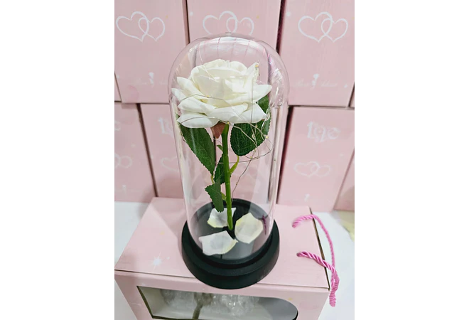 CUPULA DE PLÁSTICO/ROSA ETERNA CON LUZ LED MOD# 7001 🌹