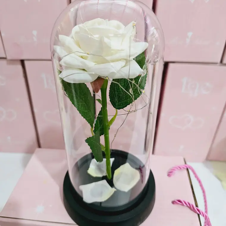 CUPULA DE PLÁSTICO/ROSA ETERNA CON LUZ LED MOD# 7001 🌹 5