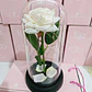 CUPULA DE PLÁSTICO/ROSA ETERNA CON LUZ LED MOD# 7001 🌹 - Miniatura 5