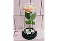 CUPULA DE PLÁSTICO/ROSA ETERNA CON LUZ LED MOD# 7001 🌹