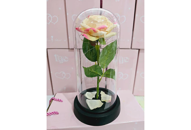 CUPULA DE PLÁSTICO/ROSA ETERNA CON LUZ LED MOD# 7001 🌹