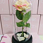 CUPULA DE PLÁSTICO/ROSA ETERNA CON LUZ LED MOD# 7001 🌹 - Miniatura 6