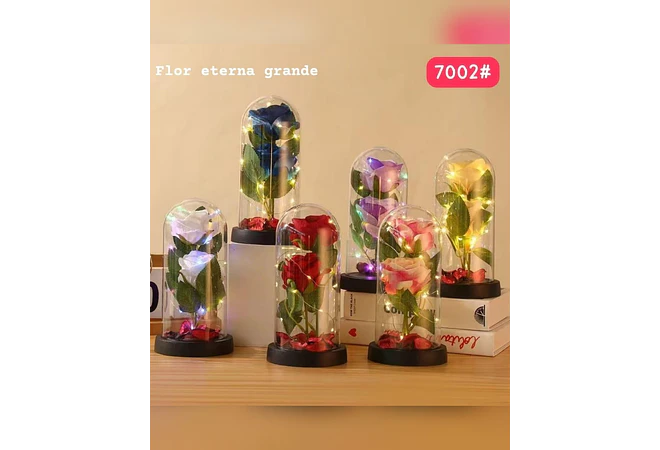 CUPULA DE PLÁSTICO CON 2 ROSAS ETERNAS CON LUZ LED MOD# 7002  🌻🌷