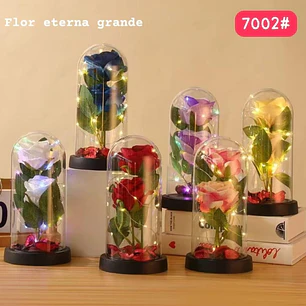 CUPULA DE PLÁSTICO CON 2 ROSAS ETERNAS CON LUZ LED MOD# 7002  🌻🌷