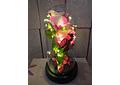 CUPULA DE PLÁSTICO CON 2 ROSAS ETERNAS CON LUZ LED MOD# 7002  🌻🌷