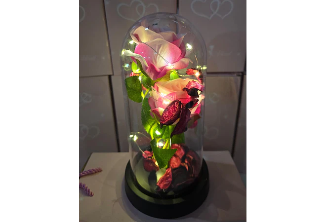 CUPULA DE PLÁSTICO CON 2 ROSAS ETERNAS CON LUZ LED MOD# 7002  🌻🌷