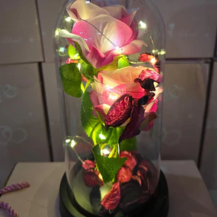 CUPULA DE PLÁSTICO CON 2 ROSAS ETERNAS CON LUZ LED MOD# 7002  🌻🌷