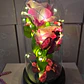 CUPULA DE PLÁSTICO CON 2 ROSAS ETERNAS CON LUZ LED MOD# 7002  🌻🌷 - Miniatura 2