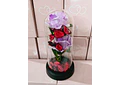 CUPULA DE PLÁSTICO CON 2 ROSAS ETERNAS CON LUZ LED MOD# 7002  🌻🌷