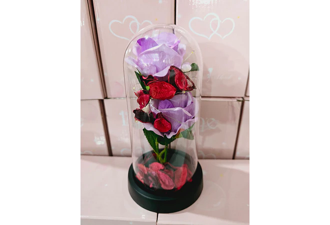 CUPULA DE PLÁSTICO CON 2 ROSAS ETERNAS CON LUZ LED MOD# 7002  🌻🌷