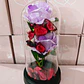 CUPULA DE PLÁSTICO CON 2 ROSAS ETERNAS CON LUZ LED MOD# 7002  🌻🌷 - Miniatura 3