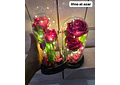 CUPULA DE PLÁSTICO CON 2 ROSAS ETERNAS CON LUZ LED MOD# 7002  🌻🌷