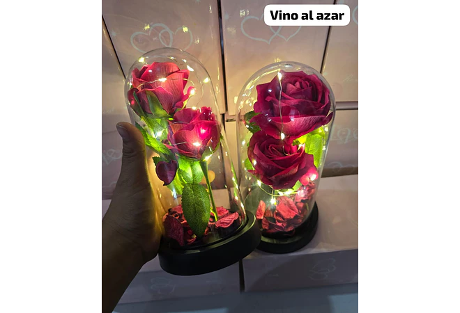 CUPULA DE PLÁSTICO CON 2 ROSAS ETERNAS CON LUZ LED MOD# 7002  🌻🌷