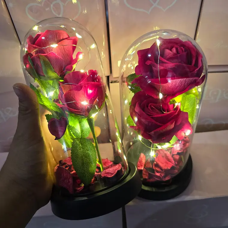 CUPULA DE PLÁSTICO CON 2 ROSAS ETERNAS CON LUZ LED MOD# 7002  🌻🌷 4