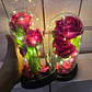 CUPULA DE PLÁSTICO CON 2 ROSAS ETERNAS CON LUZ LED MOD# 7002  🌻🌷 - Miniatura 4