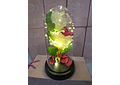 CUPULA DE PLÁSTICO CON 2 ROSAS ETERNAS CON LUZ LED MOD# 7002  🌻🌷