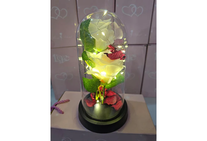 CUPULA DE PLÁSTICO CON 2 ROSAS ETERNAS CON LUZ LED MOD# 7002  🌻🌷