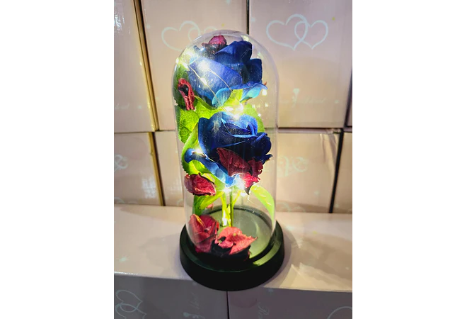 CUPULA DE PLÁSTICO CON 2 ROSAS ETERNAS CON LUZ LED MOD# 7002  🌻🌷