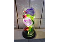 CUPULA DE PLÁSTICO CON 2 ROSAS ETERNAS CON LUZ LED MOD# 7002  🌻🌷