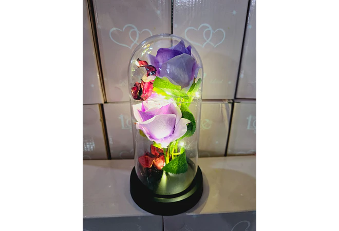 CUPULA DE PLÁSTICO CON 2 ROSAS ETERNAS CON LUZ LED MOD# 7002  🌻🌷