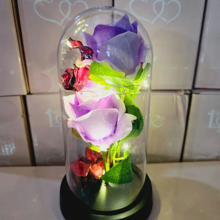 CUPULA DE PLÁSTICO CON 2 ROSAS ETERNAS CON LUZ LED MOD# 7002  🌻🌷 7