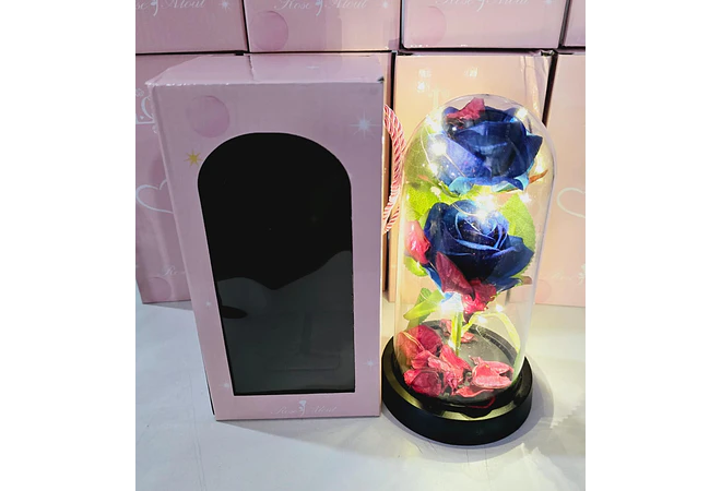 CUPULA DE PLÁSTICO CON 2 ROSAS ETERNAS CON LUZ LED MOD# 7002  🌻🌷