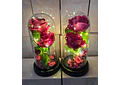 CUPULA DE PLÁSTICO CON 2 ROSAS ETERNAS CON LUZ LED MOD# 7002  🌻🌷
