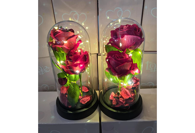 CUPULA DE PLÁSTICO CON 2 ROSAS ETERNAS CON LUZ LED MOD# 7002  🌻🌷